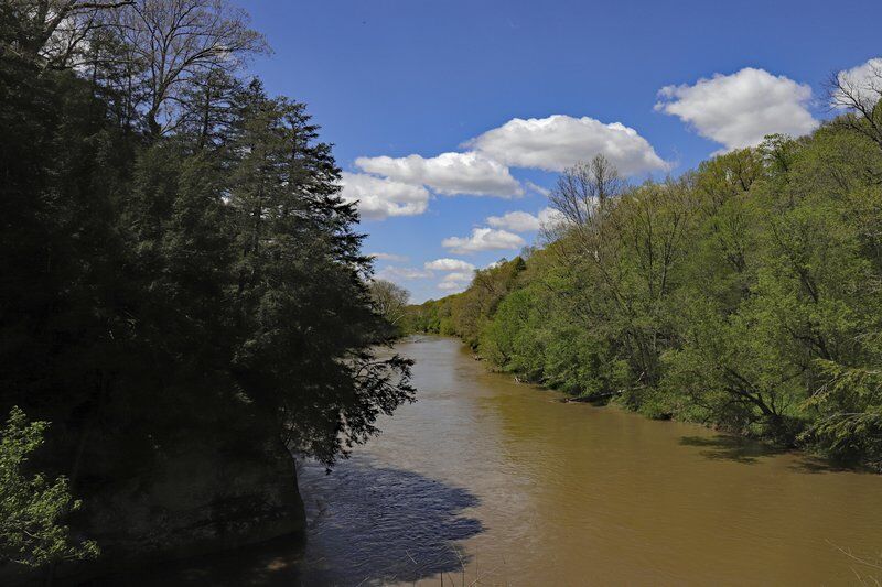 Juliet Strauss and the spirit of Turkey Run